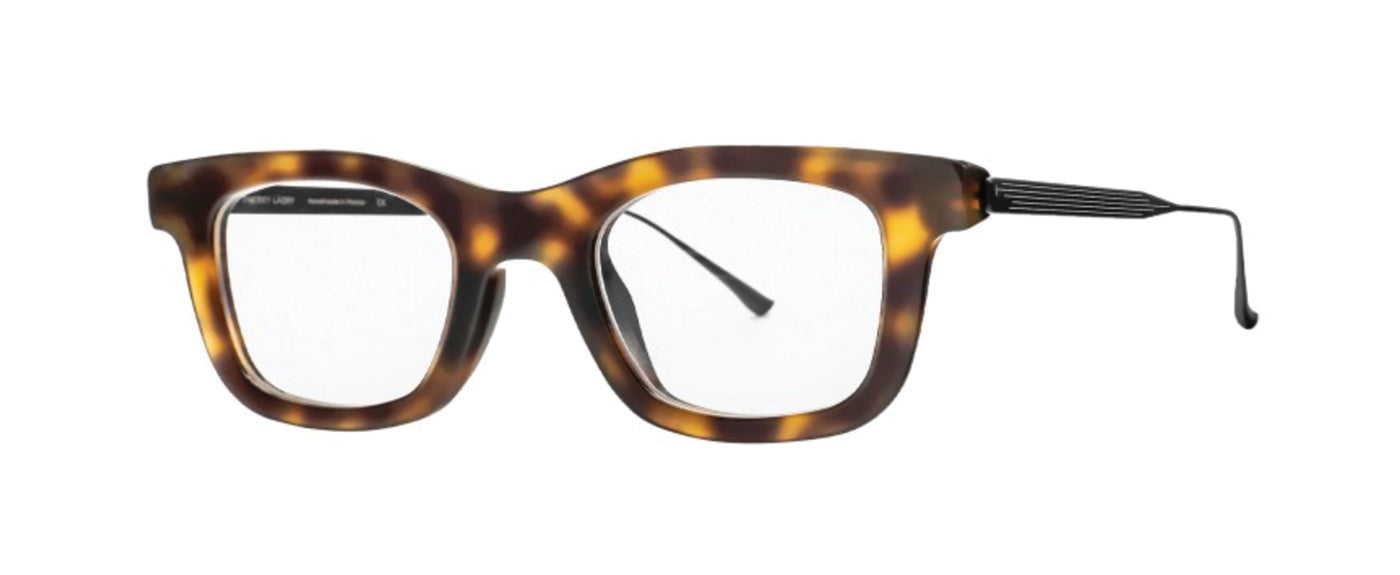 Tortoise Shell--4